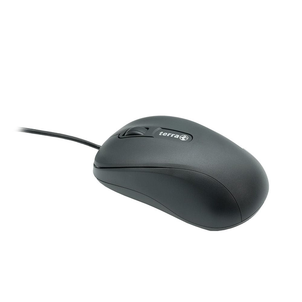 item29205131250.jpg
